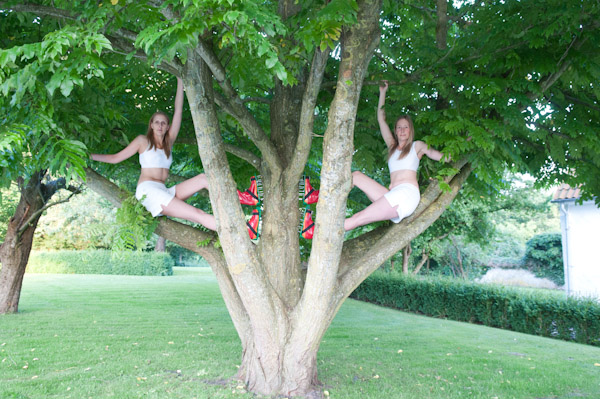 TBL Installation Up in the Trees