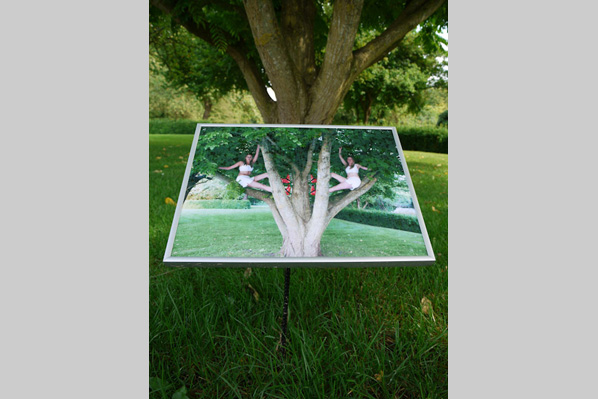 TBL Installation Up in the Trees