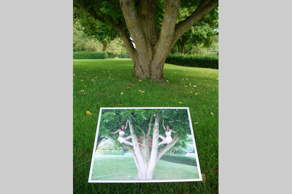 TBL Installation Up in the Trees